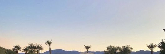 liz's banner