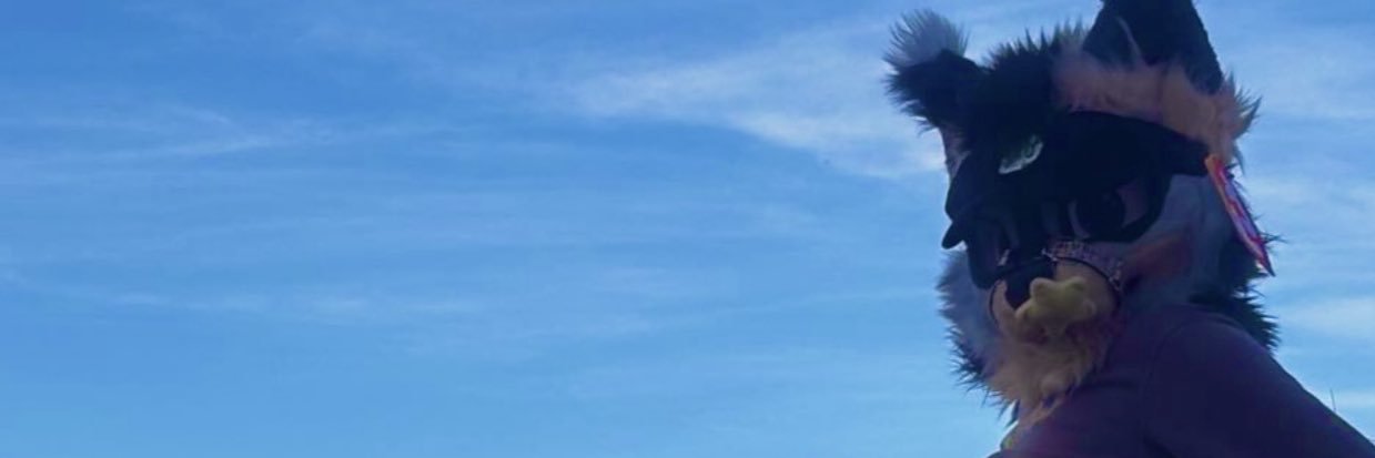Pouncy N' Bouncy's banner