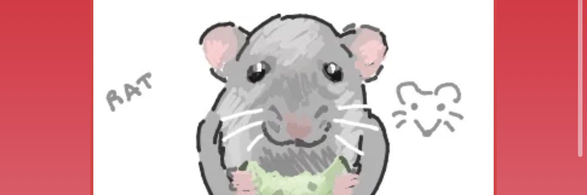 Rat 🎀's banner