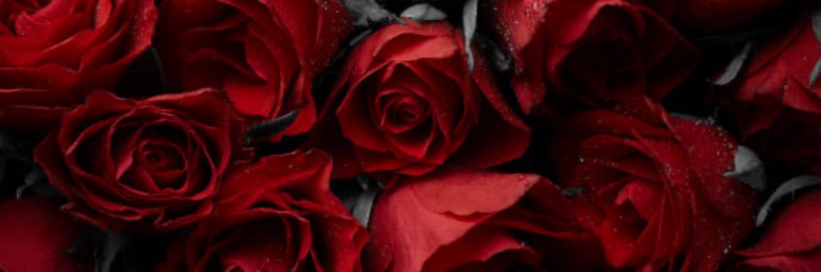 Daniela vega's banner