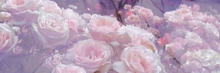 Lexy's banner