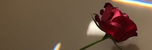 João's banner