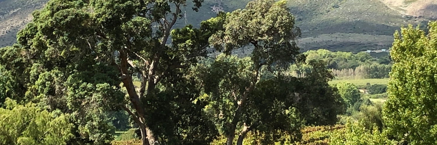 mr something's banner