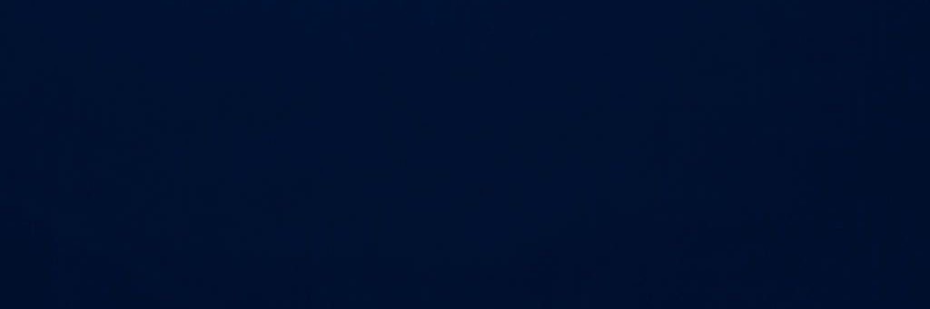 l.'s banner
