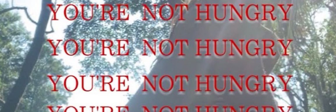 lacy's banner