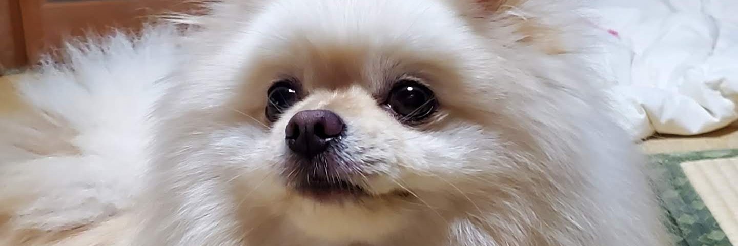 PON's banner