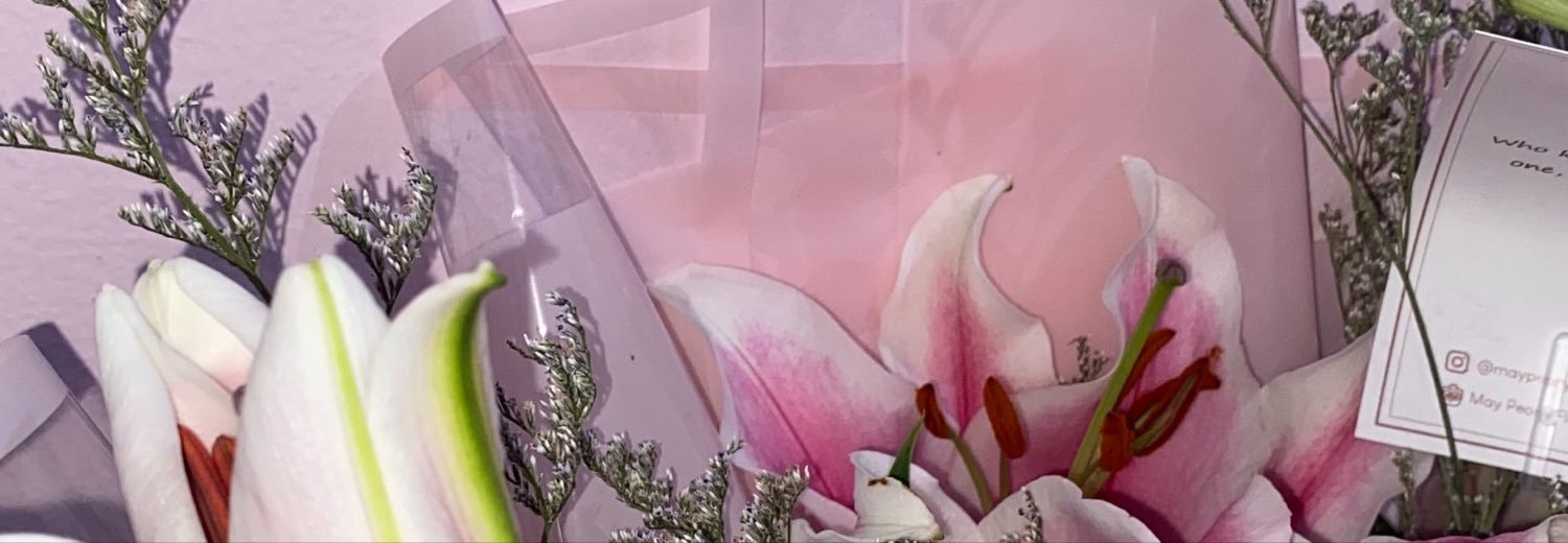 stobeli🍓's banner