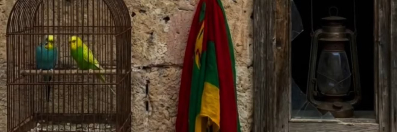 Delal's banner