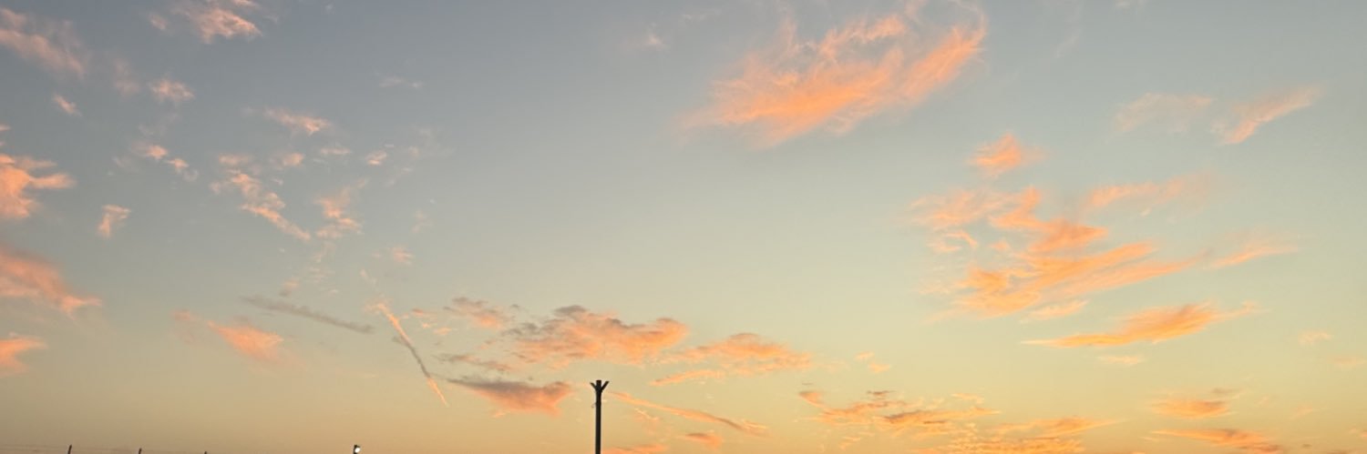 モモ🍑's banner