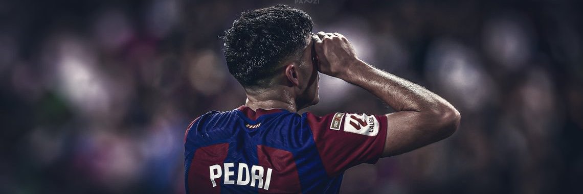 PedriArchives's banner