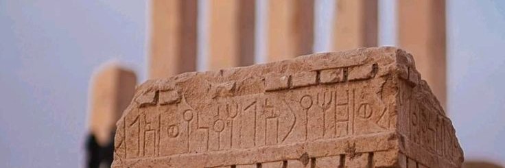 عبدالله علي شعلان's banner