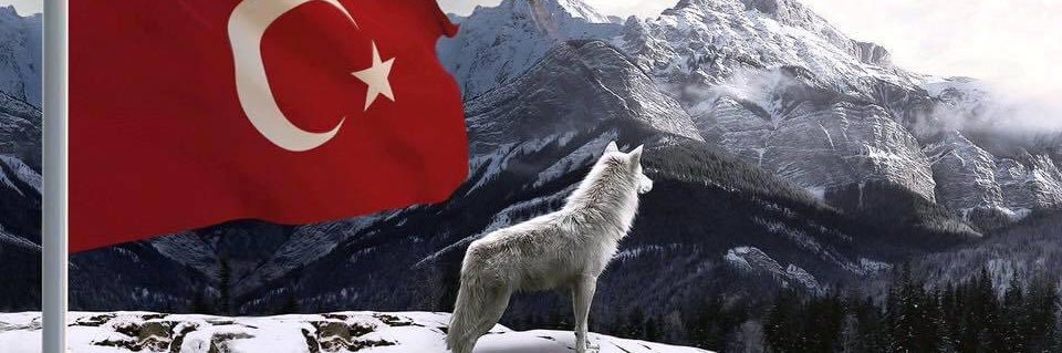 Lion's banner