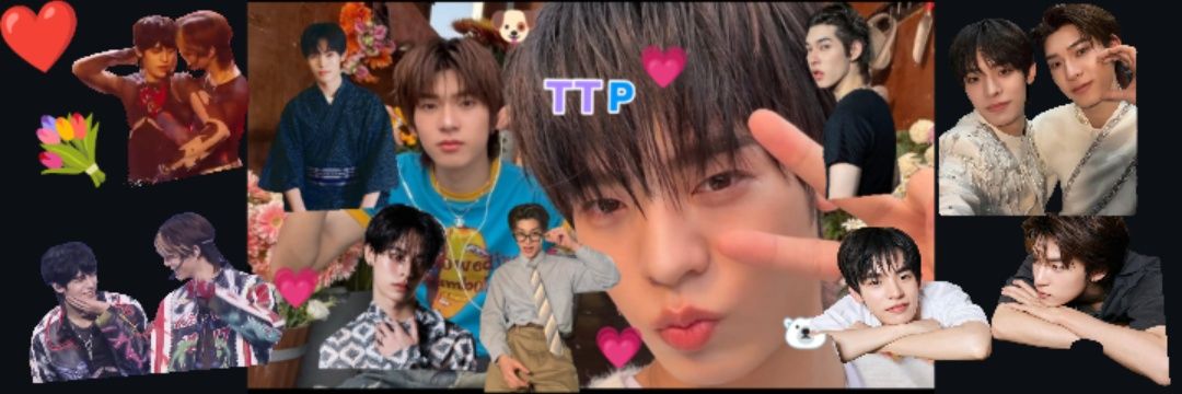 フワヤイイPupPolar VAVA Fam's banner