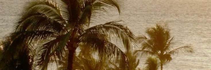 lana💥's banner