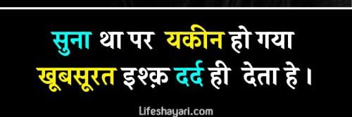 बदनाम शायर 🍃's banner