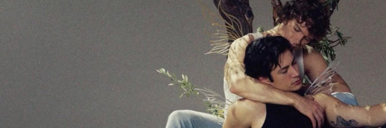 lyra ⋆˙⟡ ݁ ˖'s banner