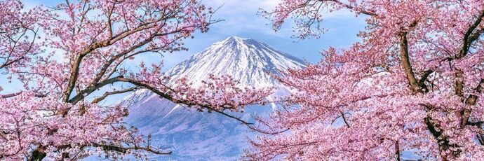 arsyila's banner