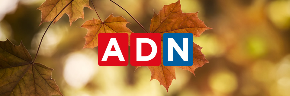 Radio ADN's banner