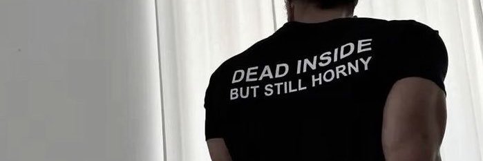 David's banner