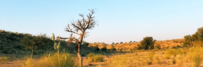 मरू री मरवण🏜️'s banner