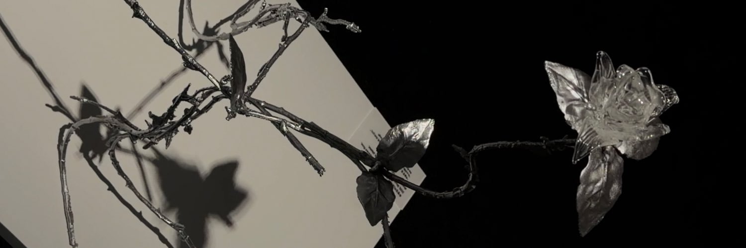 rhapsodybin's banner