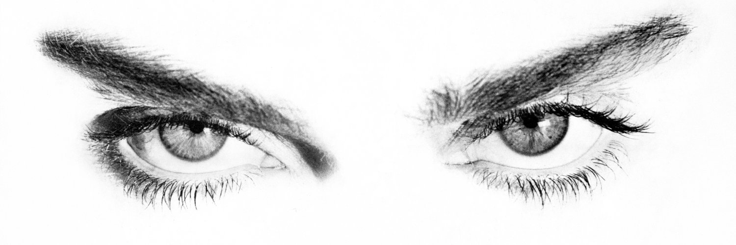 Dan·K )|( Madonna Media's banner