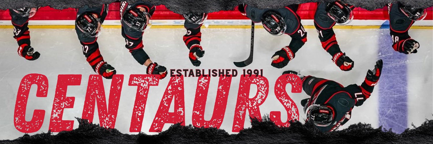 Ottawa Centaurs's banner