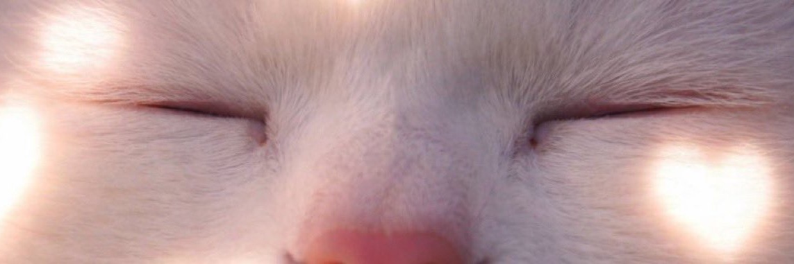 away from keyboard's banner