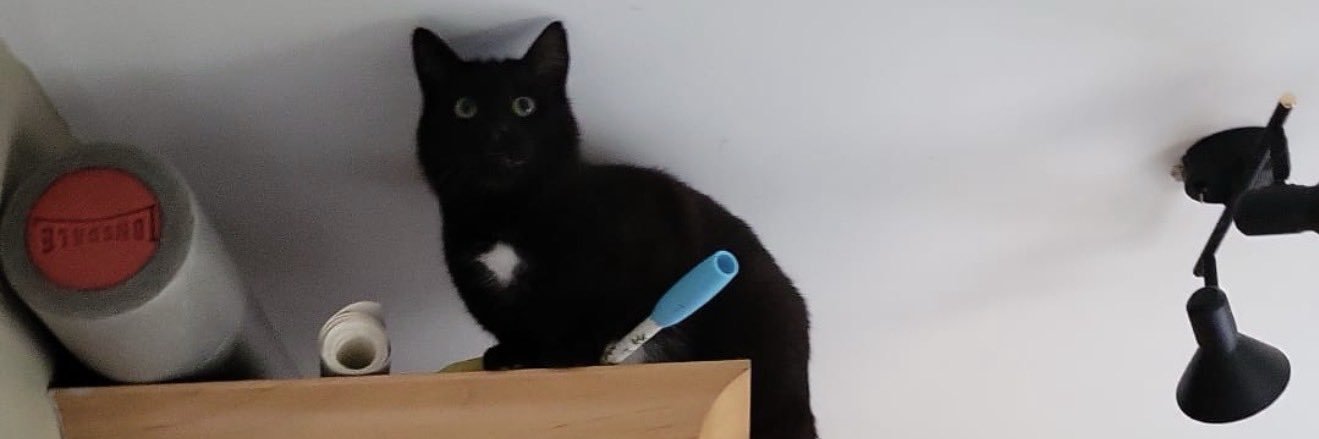 alimcforever's banner