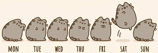 Pusheen parody account's banner