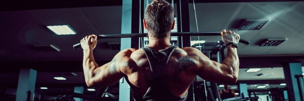 Musclez Tech's banner
