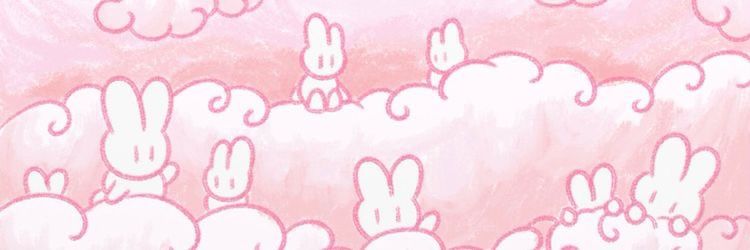 Ｎａｙｌａ (secret account)'s banner