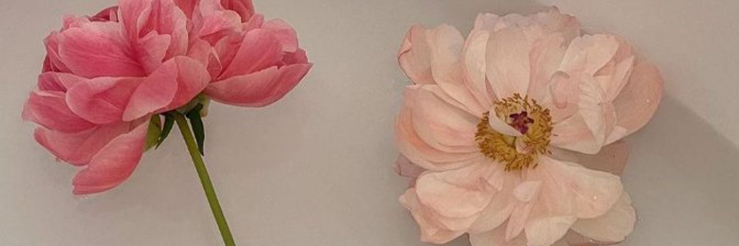 肌肉姐姐's banner