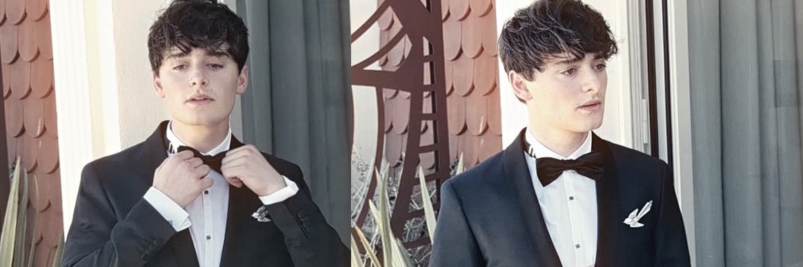 stedit's banner