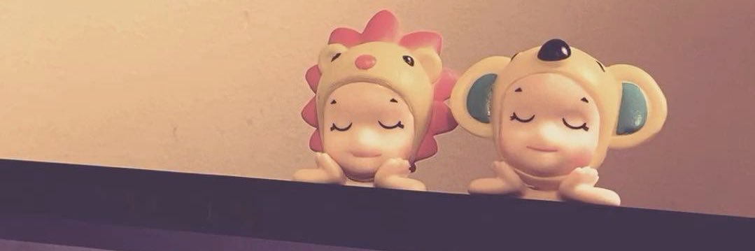 ݁ ˖Ი𐑼⋆'s banner