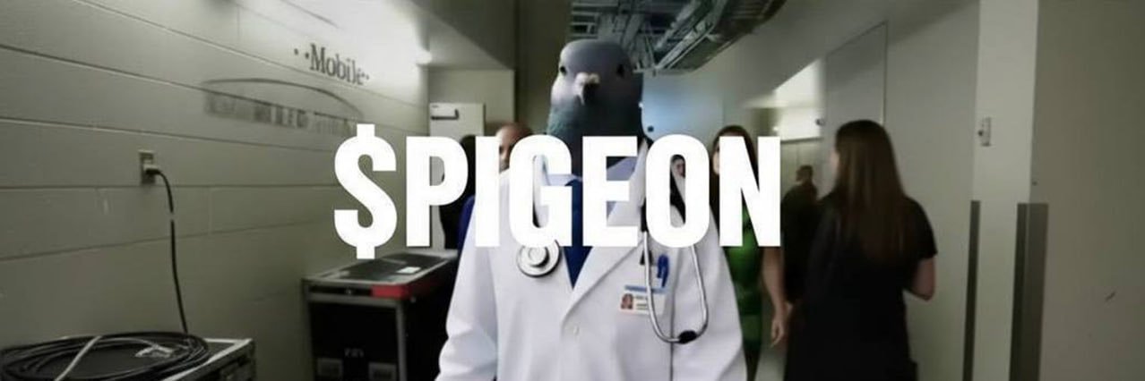 Pigeon Doctor's banner