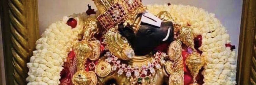 విష్ణు వర్ధన్ రెడ్డి-विष्णु वर्धन रेड्डी🇮🇳's banner