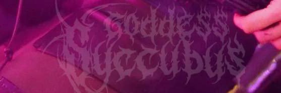 Mistress Succubus's banner