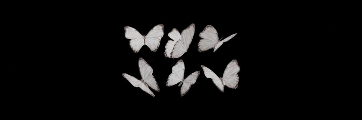 𑣲valentina's banner