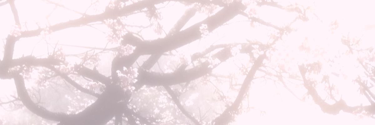 𑣲valentina's banner