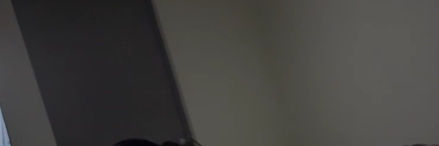 Luis D's banner