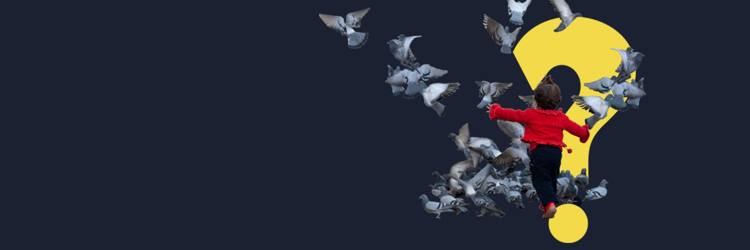 WHYZ's banner