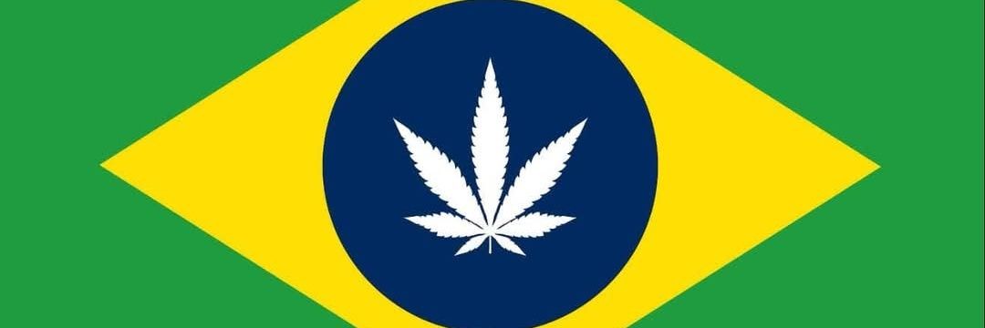 Luizinho.4i20 🍁's banner