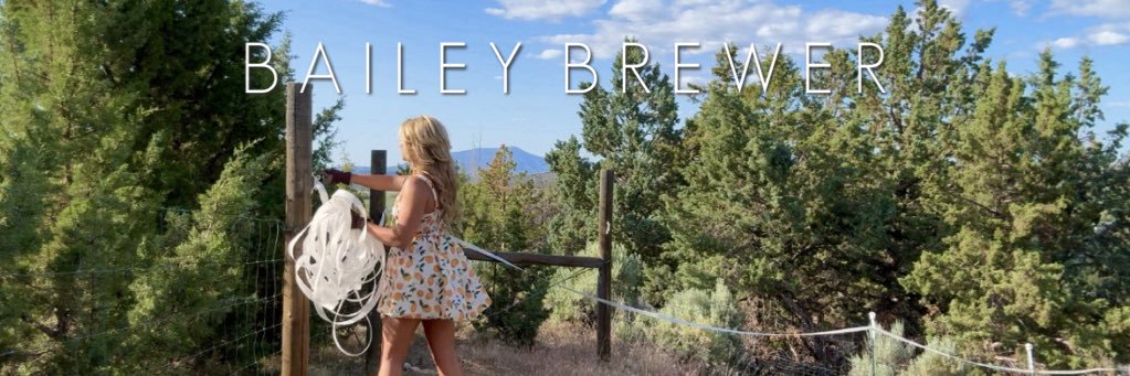 Bailey Brewer's banner