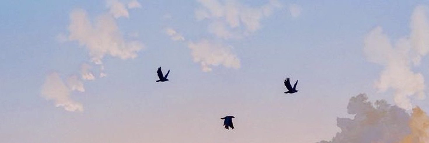 monty 🥀's banner