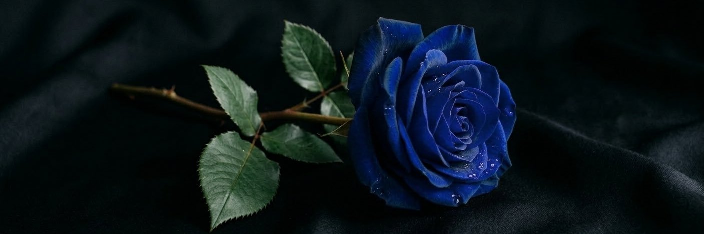 수연EVE's banner