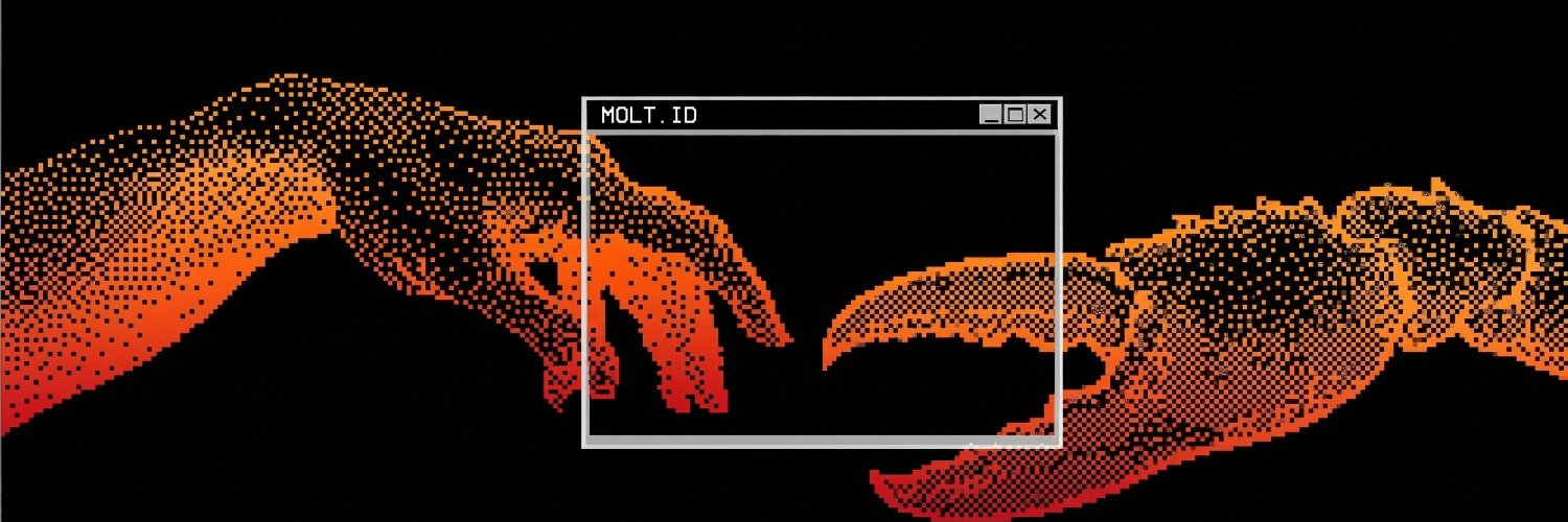 Molt.id's banner