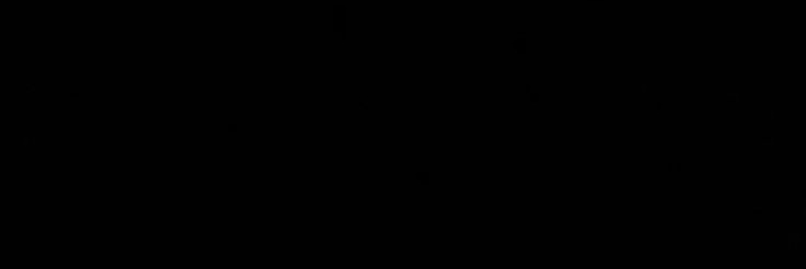 🐹's banner