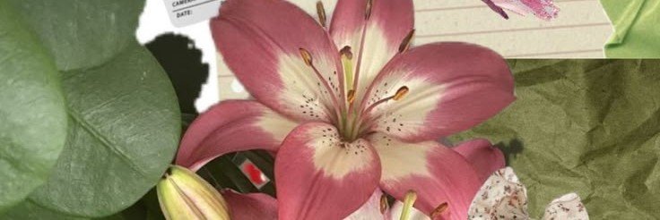 rosie💐's banner