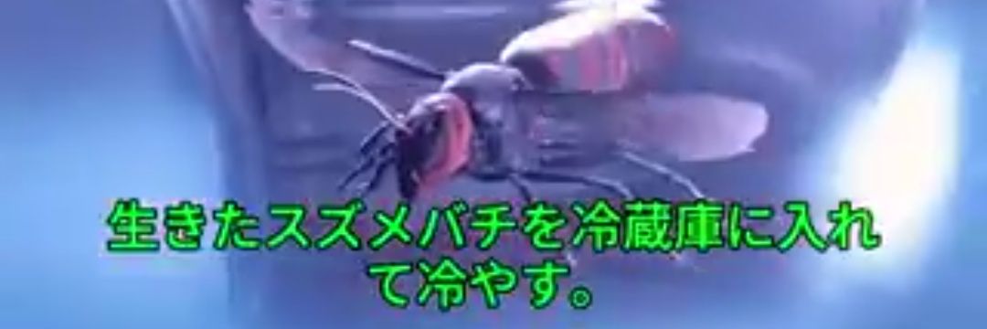AI名曲bot's banner